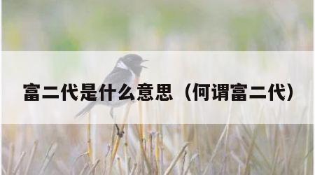 富二代是什么意思（何谓富二代）