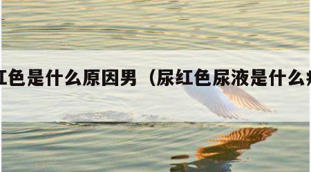 尿红色是什么原因男（尿红色尿液是什么病症男）