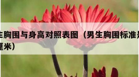 男生胸围与身高对照表图（男生胸围标准是多少厘米）