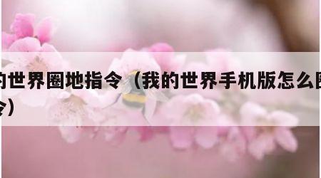 我的世界圈地指令（我的世界手机版怎么圈地指令）