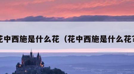 花中西施是什么花（花中西施是什么花?）