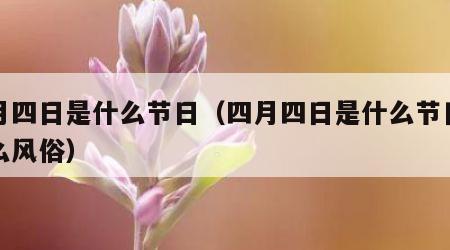 四月四日是什么节日（四月四日是什么节日有什么风俗）
