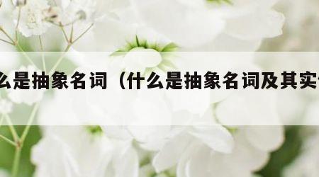 什么是抽象名词（什么是抽象名词及其实例?）