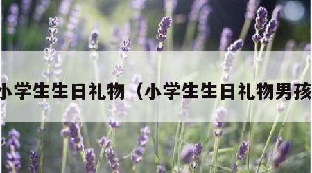 小学生生日礼物（小学生生日礼物男孩）