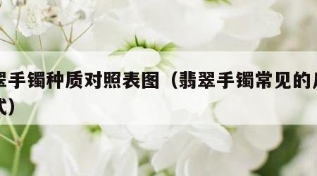 翡翠手镯种质对照表图（翡翠手镯常见的几种样式）