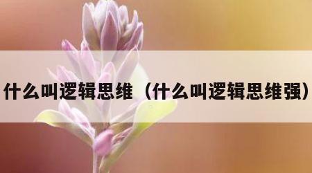 什么叫逻辑思维（什么叫逻辑思维强）