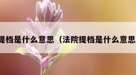 提档是什么意思（法院提档是什么意思）