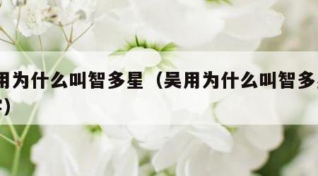 吴用为什么叫智多星（吴用为什么叫智多星20字）