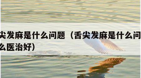 舌尖发麻是什么问题（舌尖发麻是什么问题,怎么医治好）