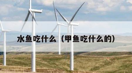 水鱼吃什么（甲鱼吃什么的）