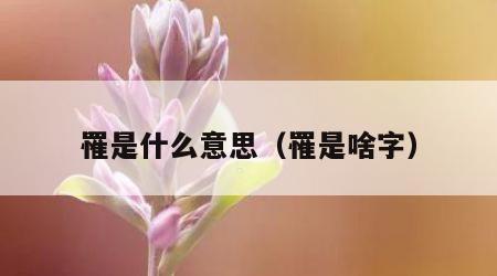 罹是什么意思（罹是啥字）