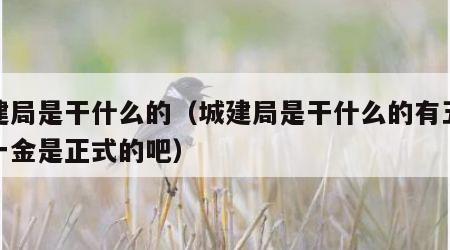 城建局是干什么的（城建局是干什么的有五险没一金是正式的吧）