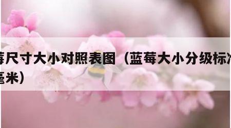 蓝莓尺寸大小对照表图（蓝莓大小分级标准尺寸毫米）
