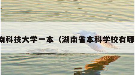 湖南科技大学一本（湖南省本科学校有哪些）