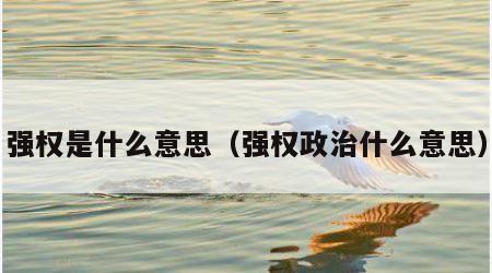 强权是什么意思（强权政治什么意思）
