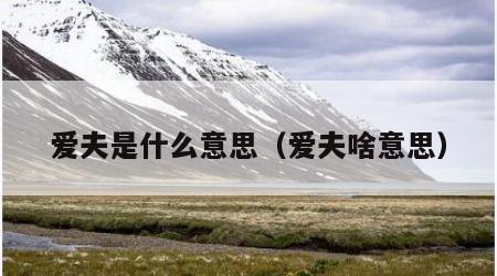 爱夫是什么意思（爱夫啥意思）
