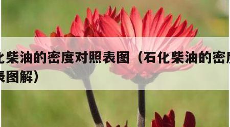 石化柴油的密度对照表图（石化柴油的密度对照表图解）