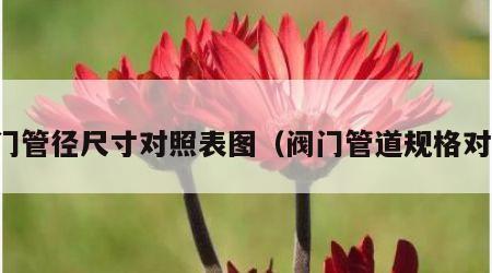 阀门管径尺寸对照表图（阀门管道规格对应）