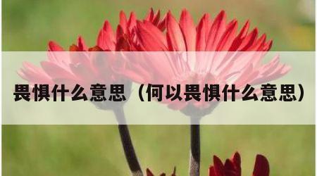 畏惧什么意思（何以畏惧什么意思）