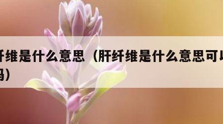 肝纤维是什么意思（肝纤维是什么意思可以治疗吗）