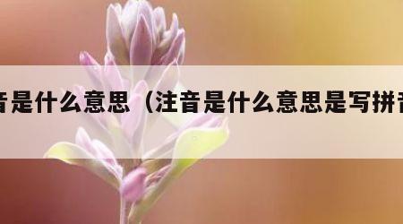 注音是什么意思（注音是什么意思是写拼音吗）