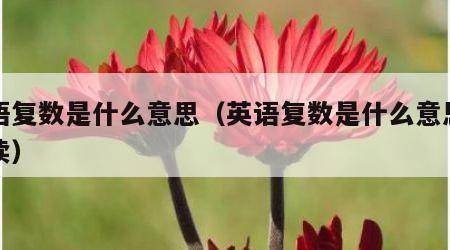 英语复数是什么意思（英语复数是什么意思怎么读）