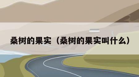 桑树的果实（桑树的果实叫什么）