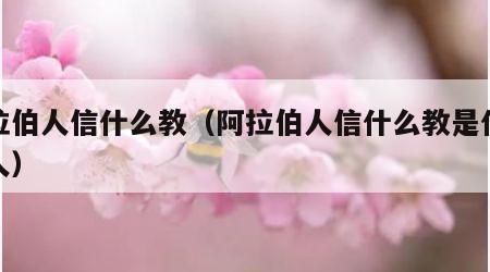 阿拉伯人信什么教（阿拉伯人信什么教是什么种人）