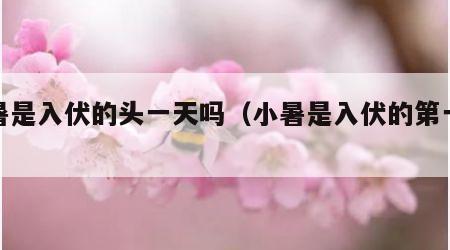 小暑是入伏的头一天吗（小暑是入伏的第一天吗）