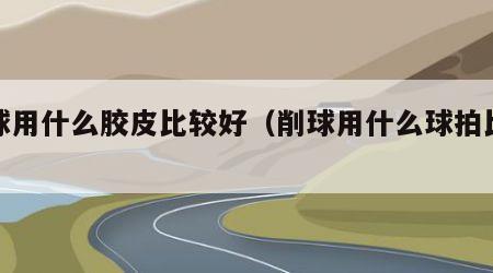 削球用什么胶皮比较好（削球用什么球拍比较好）