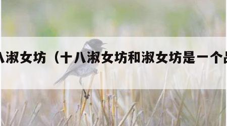 十八淑女坊（十八淑女坊和淑女坊是一个品牌吗）