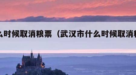 什么时候取消粮票（武汉市什么时候取消粮票）