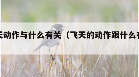 飞天动作与什么有关（飞天的动作跟什么有关）