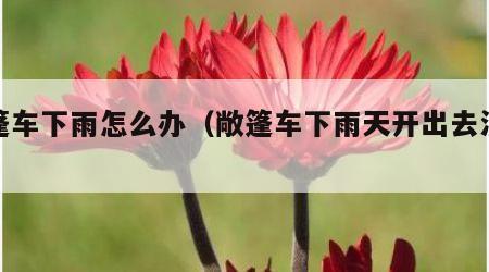敞篷车下雨怎么办（敞篷车下雨天开出去没事吗）