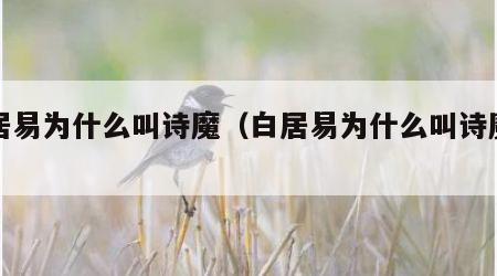 白居易为什么叫诗魔（白居易为什么叫诗魔视频）