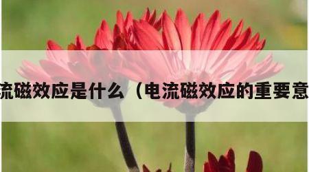 电流磁效应是什么（电流磁效应的重要意义）