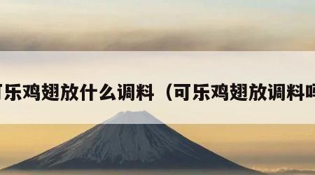 可乐鸡翅放什么调料（可乐鸡翅放调料吗）