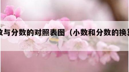 小数与分数的对照表图（小数和分数的换算图片）