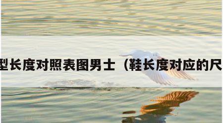 鞋型长度对照表图男士（鞋长度对应的尺码）