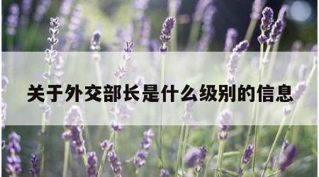 关于外交部长是什么级别的信息