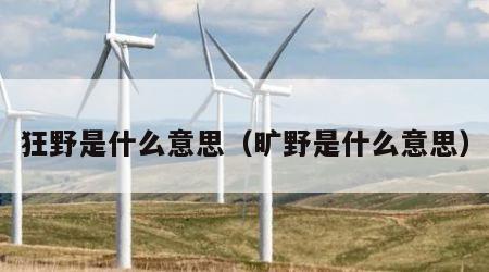 狂野是什么意思（旷野是什么意思）