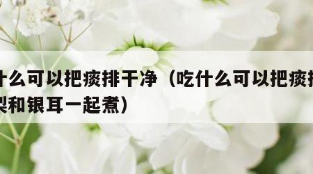 吃什么可以把痰排干净（吃什么可以把痰排干净梨和银耳一起煮）