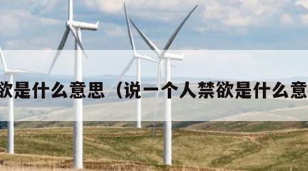 禁欲是什么意思（说一个人禁欲是什么意思）