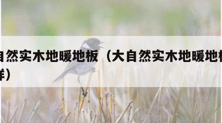 大自然实木地暖地板（大自然实木地暖地板怎么样）
