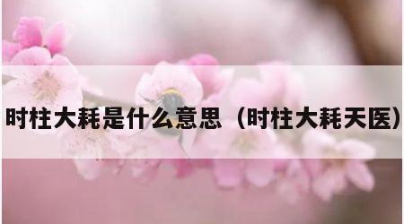 时柱大耗是什么意思（时柱大耗天医）