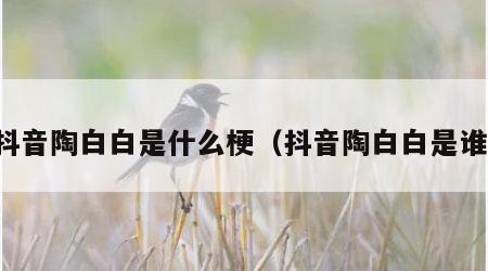 抖音陶白白是什么梗（抖音陶白白是谁）