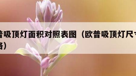 欧普吸顶灯面积对照表图（欧普吸顶灯尺寸和价格）