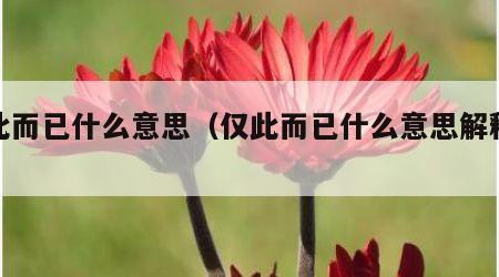 仅此而已什么意思（仅此而已什么意思解释词语）