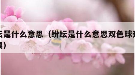 纷纭是什么意思（纷纭是什么意思双色球开奖结果）