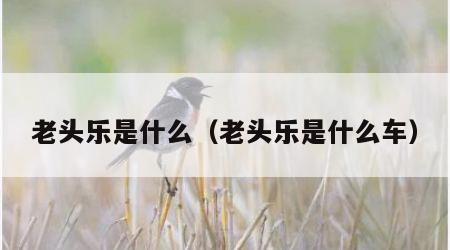 老头乐是什么（老头乐是什么车）